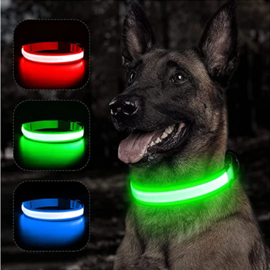 Collare LED luminoso di sicurezza per cani - ricaricabile USB